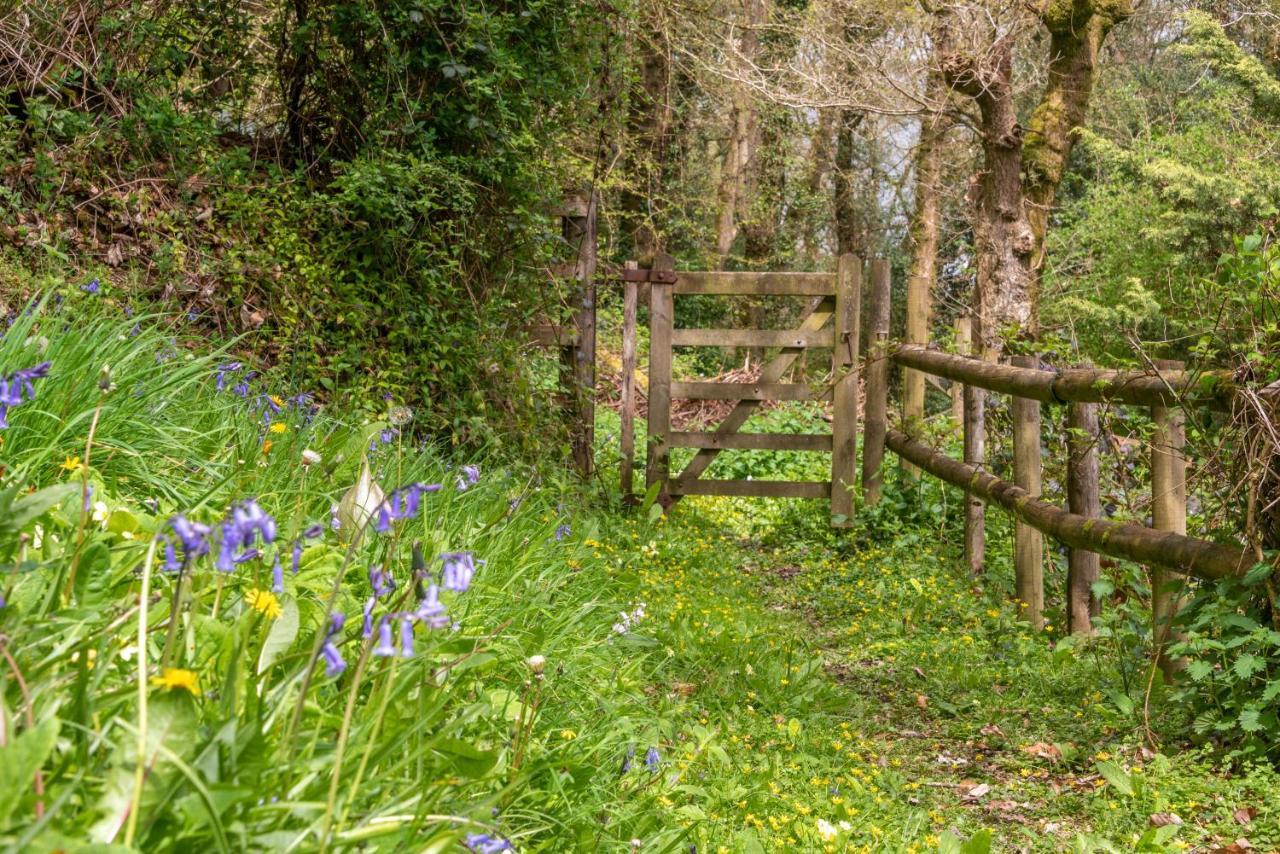 Nutsford House Bed & Breakfast Dulverton Exterior photo