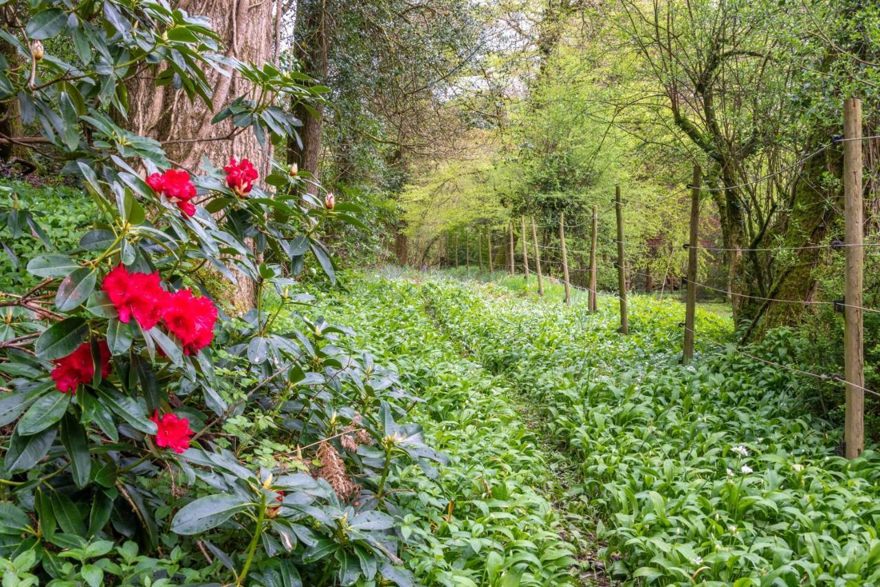 Nutsford House Bed & Breakfast Dulverton Exterior photo